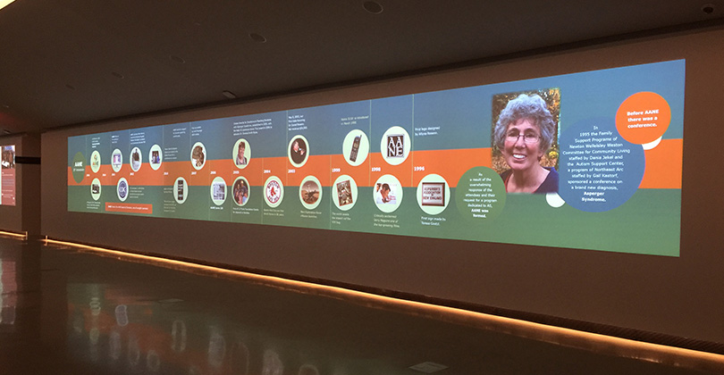 timeline of AANE 20-year history